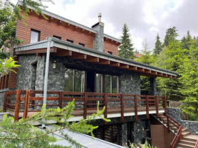 Bazalt Wellness Villa